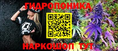 соль ск Краснодар