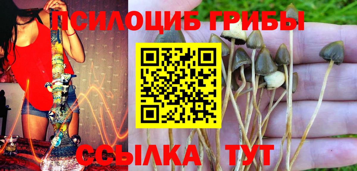 Псилоцибиновые грибы Psilocybine cubensis  Вход с VPN  Кашира 