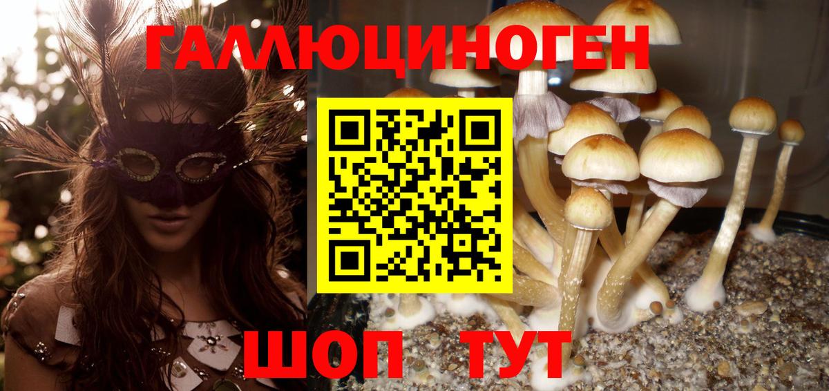 Галлюциногенные грибы ЛСД Кашира